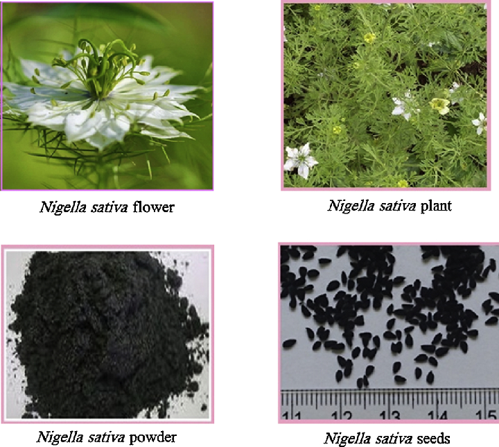 Raw Black Seed Honey